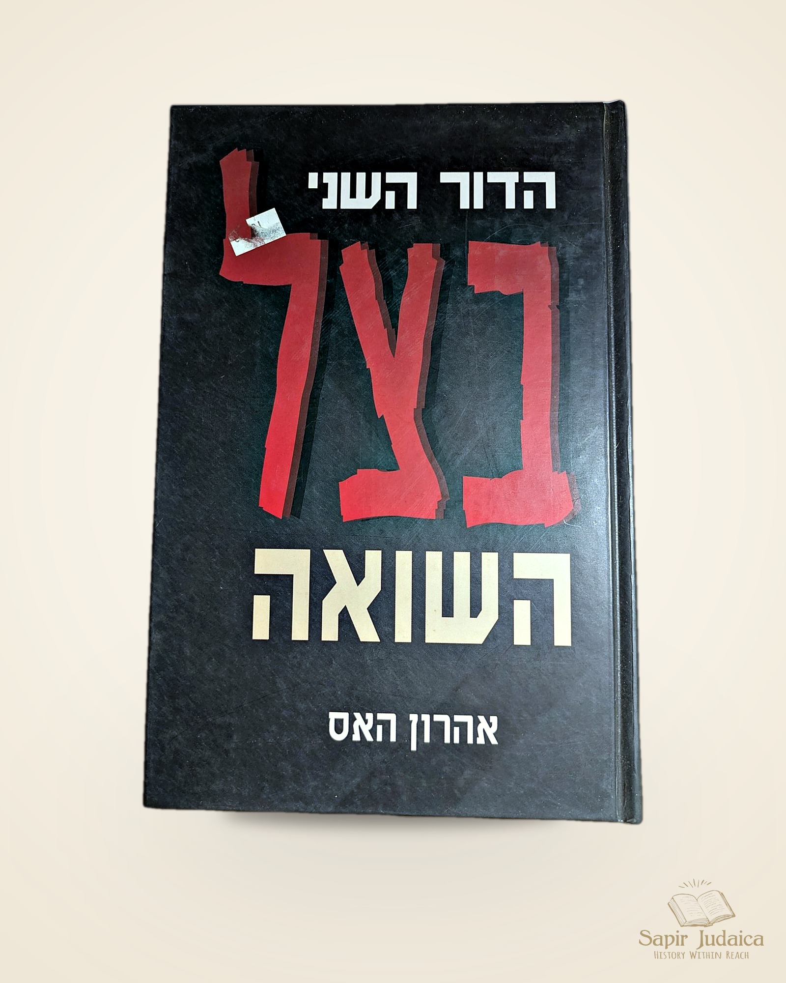 בצל השואה — תמונה ראשית