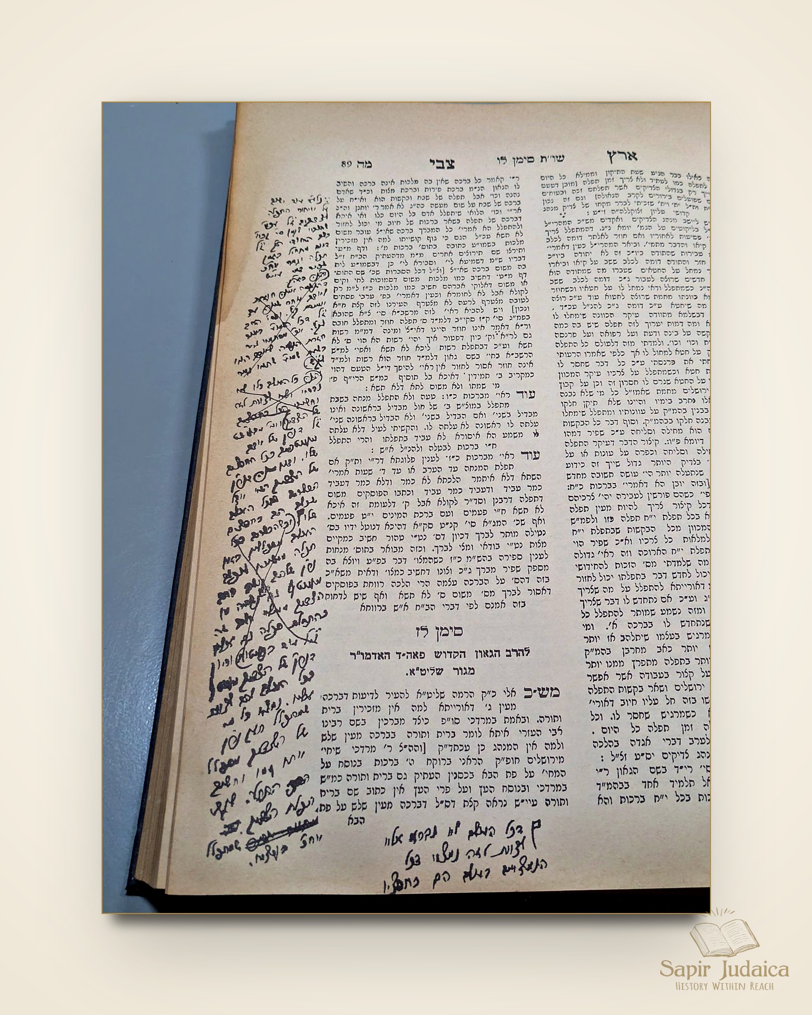 שו"ת ארץ צבי, מהדורה מיוחדת, דפוס צילום עם עשרות הגהות למדניות של המחבר — תמונה נוספת 5
