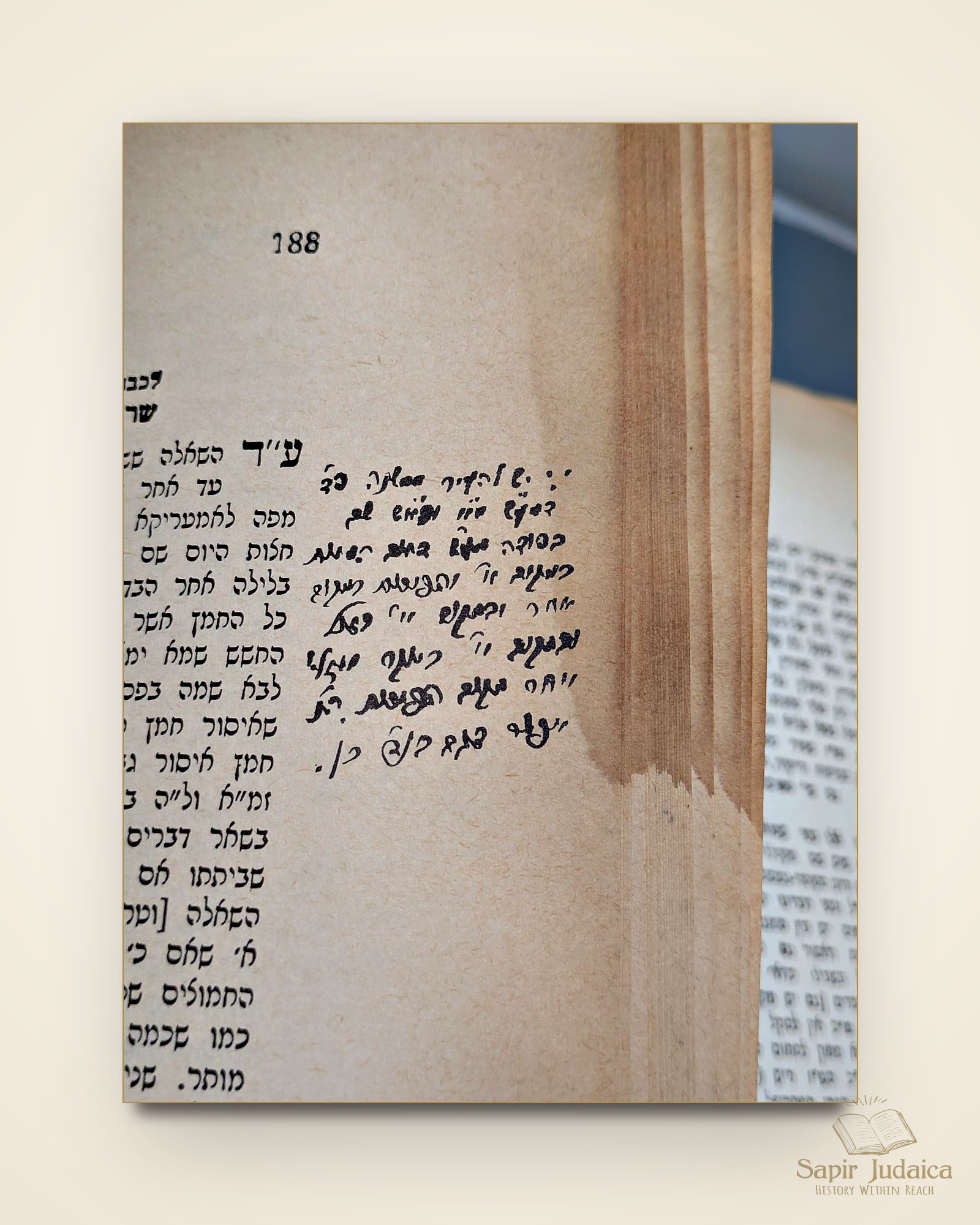 שו"ת ארץ צבי, מהדורה מיוחדת, דפוס צילום עם עשרות הגהות למדניות של המחבר — תמונה נוספת 12
