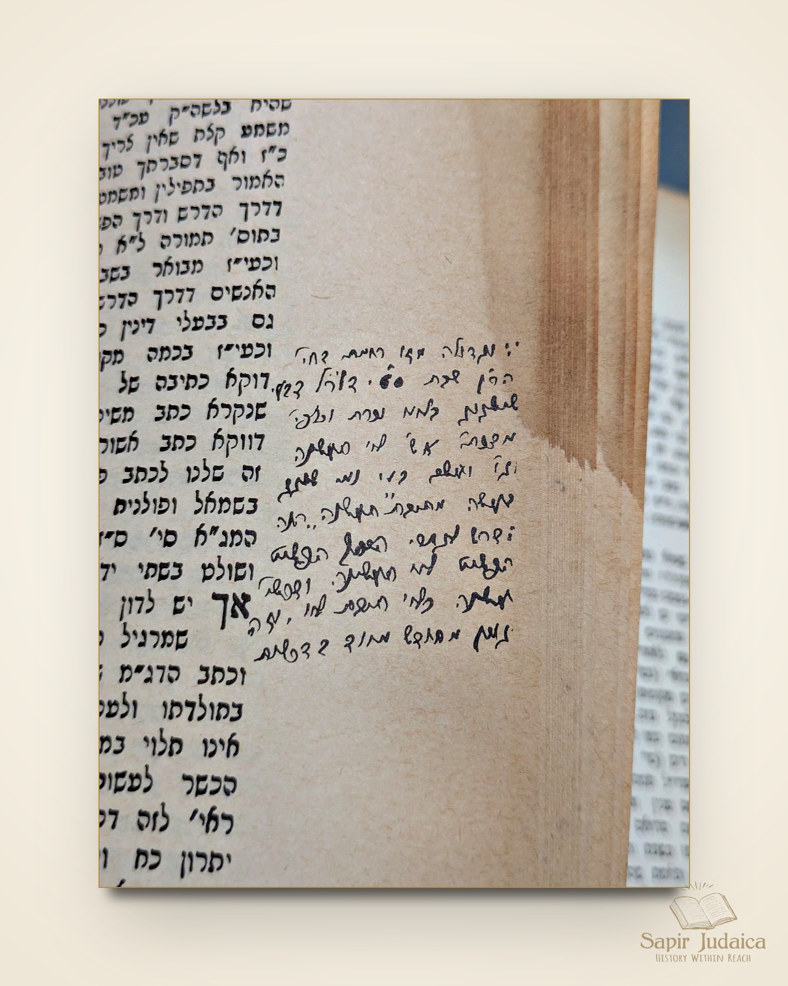 שו"ת ארץ צבי, מהדורה מיוחדת, דפוס צילום עם עשרות הגהות למדניות של המחבר — תמונה נוספת 15