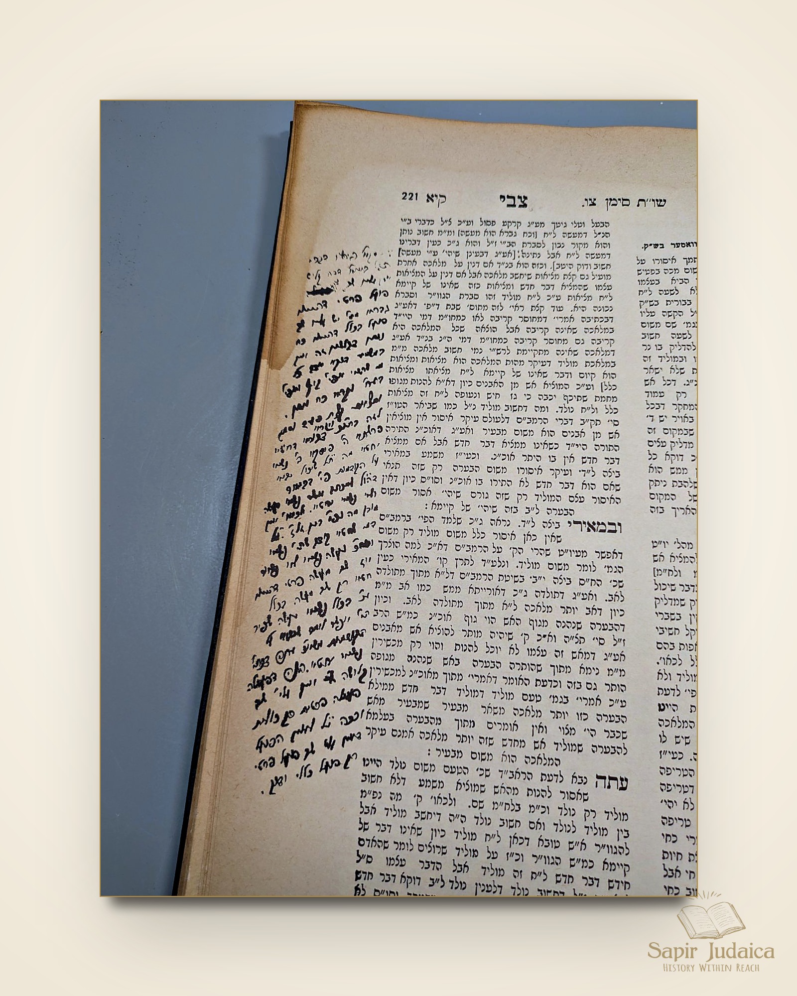 שו"ת ארץ צבי, מהדורה מיוחדת, דפוס צילום עם עשרות הגהות למדניות של המחבר — תמונה נוספת 21